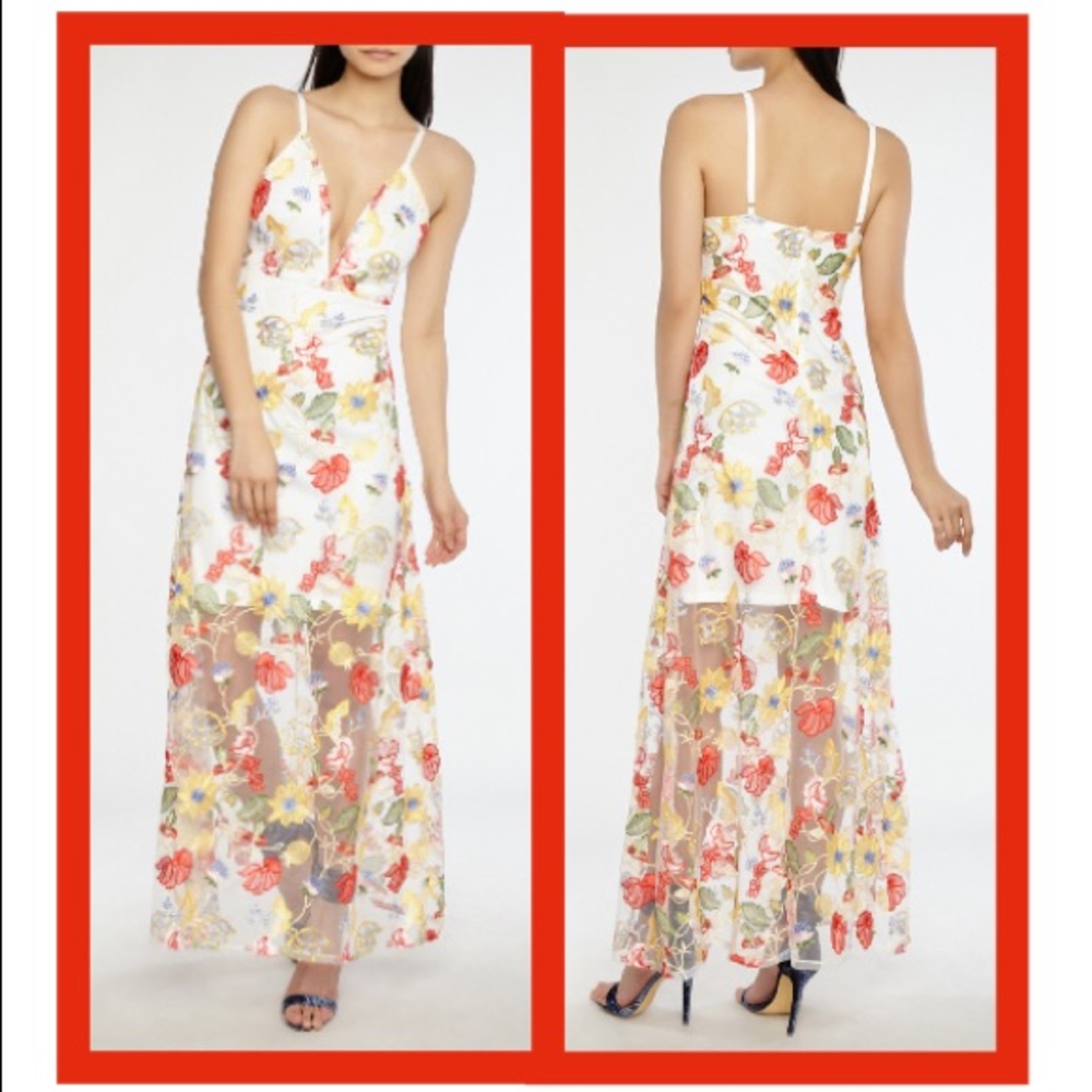 HP ♥️  Floral Embroidered Mesh Maxi Dress ♥️